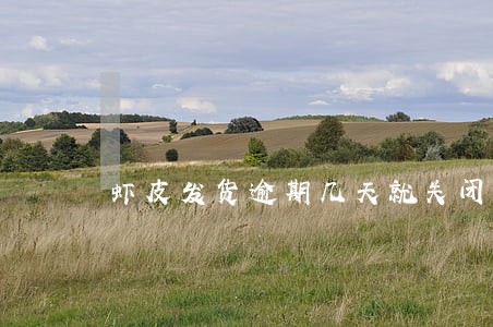 虾皮发货逾期几天就关闭 虾皮发货逾期几天就关闭