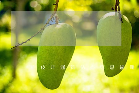 虾皮开通新站点信息逾期怎么办 虾皮开通新站点信息逾期怎么办
