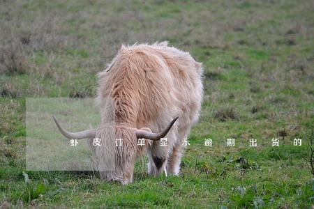 虾皮订单显示逾期出货的风险 虾皮订单显示逾期出货的风险