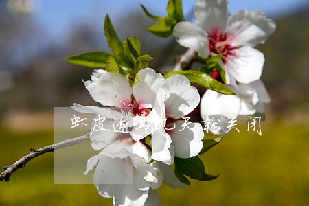 虾皮逾期几天就关闭