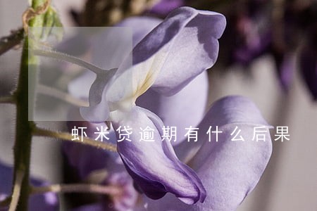 虾米贷逾期有什么后果 虾米贷逾期有什么后果