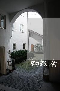 蚂蚁会员备用金逾期未还