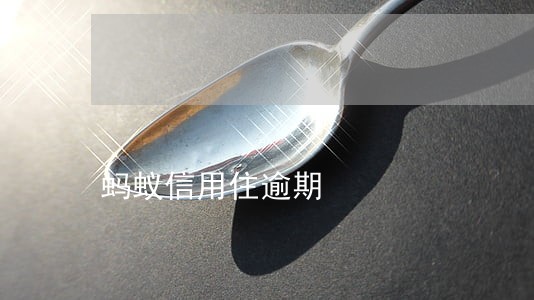 蚂蚁信用住逾期 蚂蚁信用住逾期