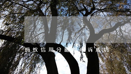 蚂蚁信用分逾期申诉成功 蚂蚁信用分逾期申诉成功