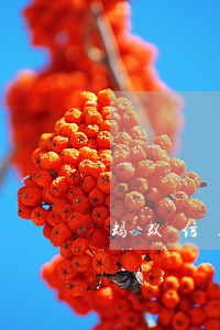 蚂蚁信用逾期 蚂蚁信用逾期