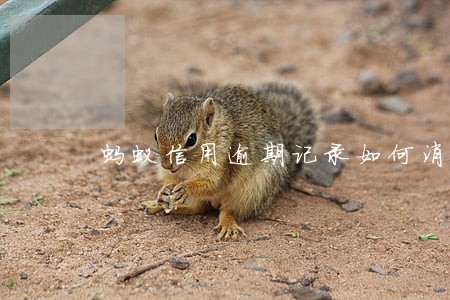 蚂蚁信用逾期记录如何消除 蚂蚁信用逾期记录如何消除