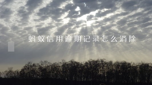 蚂蚁信用逾期记录怎么消除 蚂蚁信用逾期记录怎么消除