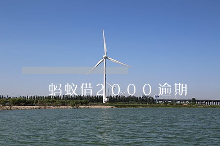蚂蚁借2000逾期