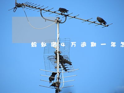 蚂蚁借4万逾期一年怎么办 蚂蚁借4万逾期一年怎么办