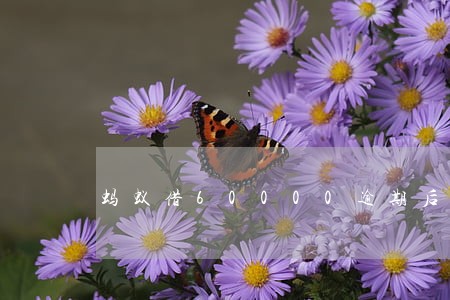 蚂蚁借60000逾期后会怎么样 蚂蚁借60000逾期后会怎么样
