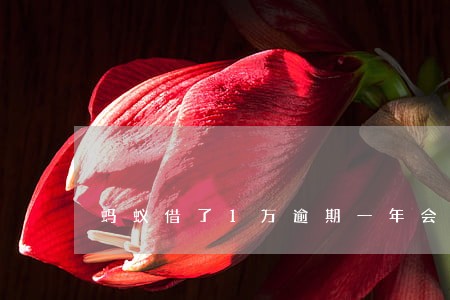 蚂蚁借了1万逾期一年会怎么样 蚂蚁借了1万逾期一年会怎么样