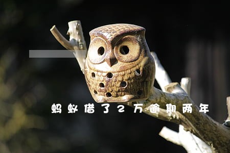 蚂蚁借了2万逾期两年 蚂蚁借了2万逾期两年