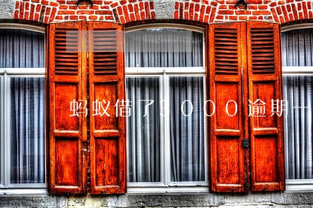 蚂蚁借了3000逾期一天利息 蚂蚁借了3000逾期一天利息