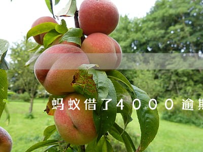 蚂蚁借了4000逾期两年 蚂蚁借了4000逾期两年
