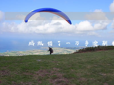 蚂蚁借了一万多逾期半年 蚂蚁借了一万多逾期半年