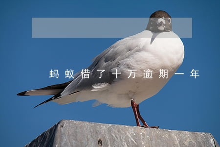 蚂蚁借了十万逾期一年 蚂蚁借了十万逾期一年