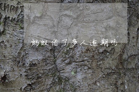蚂蚁借了多人逾期吗 蚂蚁借了多人逾期吗