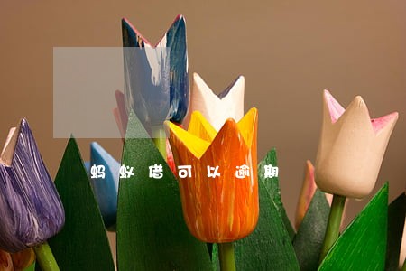 蚂蚁借可以逾期 蚂蚁借可以逾期