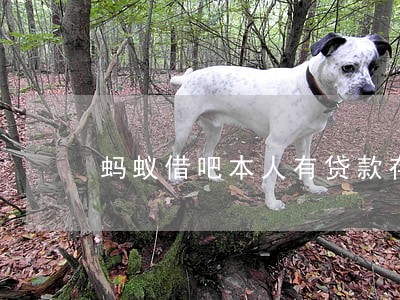 蚂蚁借吧本人有贷款存在逾期 蚂蚁借吧本人有贷款存在逾期