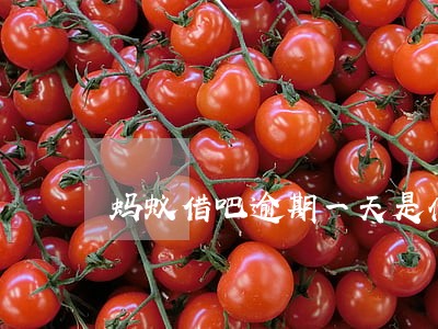 蚂蚁借吧逾期一天是什么结果 蚂蚁借吧逾期一天是什么结果