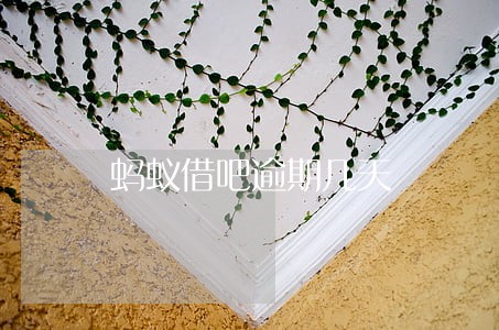 蚂蚁借吧逾期几天 蚂蚁借吧逾期几天