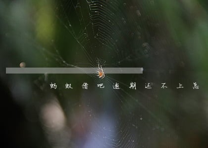 蚂蚁借吧逾期还不上怎么办 蚂蚁借吧逾期还不上怎么办