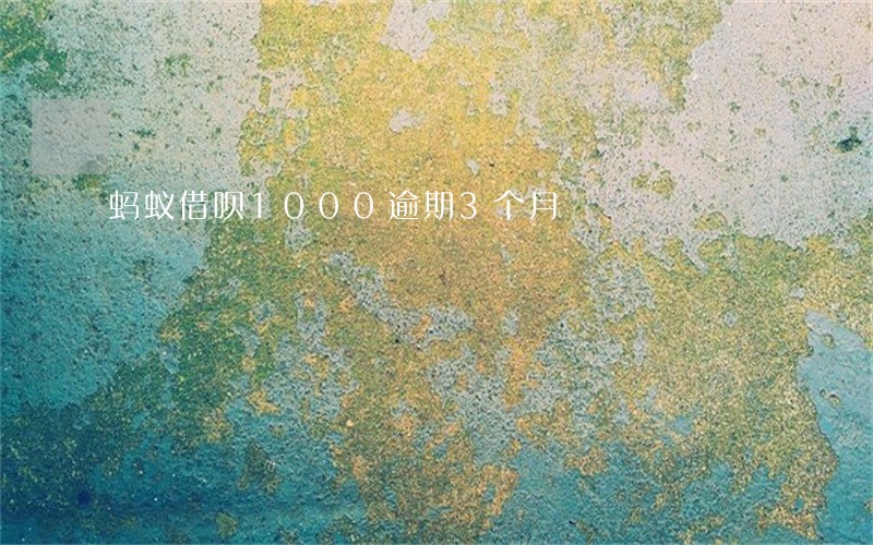蚂蚁借呗1000逾期3个月 蚂蚁借呗1000逾期3个月
