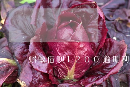 蚂蚁借呗1200逾期利息 蚂蚁借呗1200逾期利息