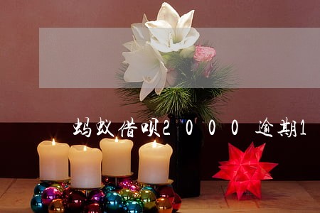 蚂蚁借呗2000逾期1个月 蚂蚁借呗2000逾期1个月