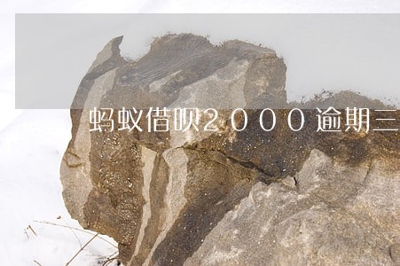 蚂蚁借呗2000逾期三个月