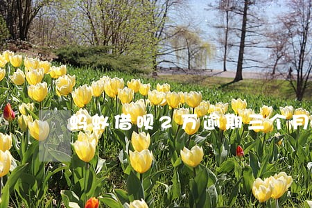 蚂蚁借呗2万逾期三个月