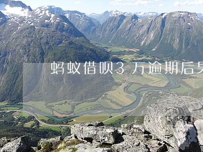蚂蚁借呗3万逾期后果 蚂蚁借呗3万逾期后果