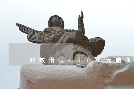 蚂蚁借呗4000元逾期 蚂蚁借呗4000元逾期