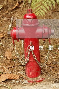 蚂蚁借呗600逾期一个月 蚂蚁借呗600逾期一个月