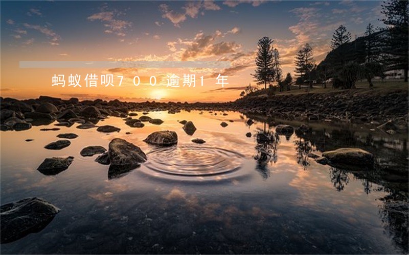 蚂蚁借呗700逾期1年