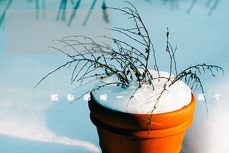 蚂蚁借呗一万二逾期两个月了 蚂蚁借呗一万二逾期两个月了