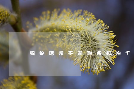 蚂蚁借呗不逾期会影响个人信用 蚂蚁借呗不逾期会影响个人信用