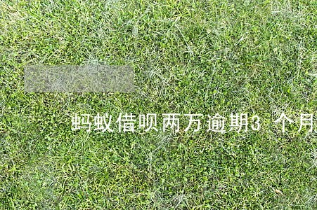 蚂蚁借呗两万逾期3个月 蚂蚁借呗两万逾期3个月