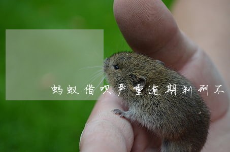 蚂蚁借呗严重逾期判刑不 蚂蚁借呗严重逾期判刑不