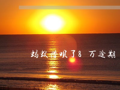 蚂蚁借呗了8万逾期 蚂蚁借呗了8万逾期
