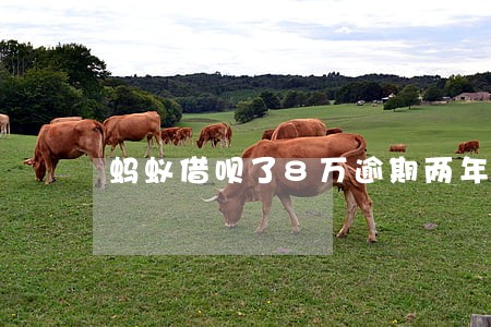 蚂蚁借呗了8万逾期两年会坐牢吗 蚂蚁借呗了8万逾期两年会坐牢吗