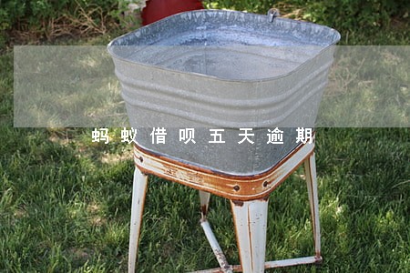 蚂蚁借呗五天逾期 蚂蚁借呗五天逾期