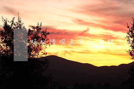 蚂蚁借呗五百元逾期十天 蚂蚁借呗五百元逾期十天