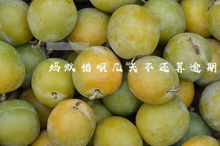 蚂蚁借呗几天不还算逾期 蚂蚁借呗几天不还算逾期