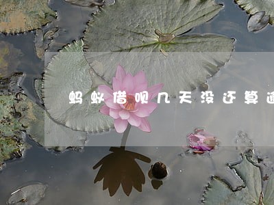 蚂蚁借呗几天没还算逾期 蚂蚁借呗几天没还算逾期