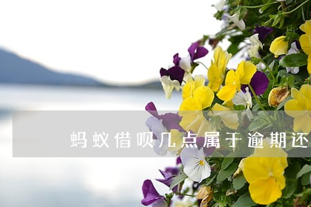 蚂蚁借呗几点属于逾期还款
