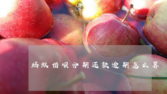 蚂蚁借呗分期还款逾期怎么算 蚂蚁借呗分期还款逾期怎么算