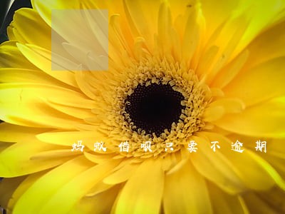 蚂蚁借呗只要不逾期 蚂蚁借呗只要不逾期