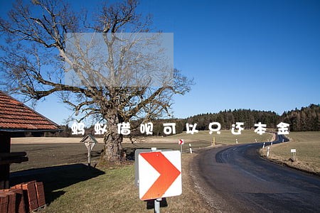 蚂蚁借呗可以只还本金 蚂蚁借呗可以只还本金