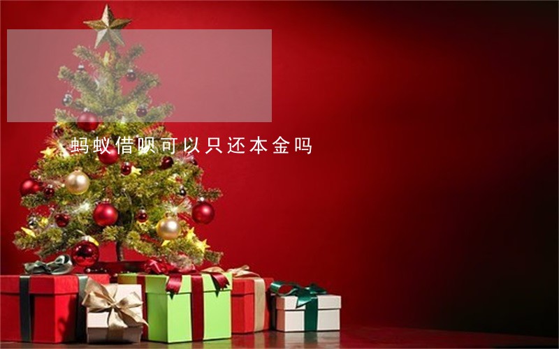 蚂蚁借呗可以只还本金吗 蚂蚁借呗可以只还本金吗